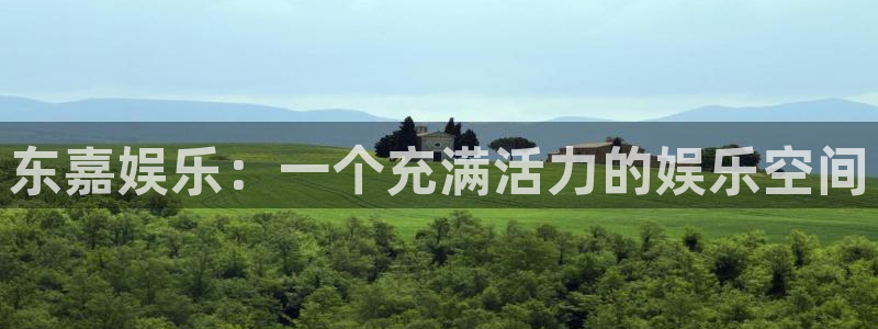耀世娱乐：东嘉娱乐：一个充满活力的娱乐空间