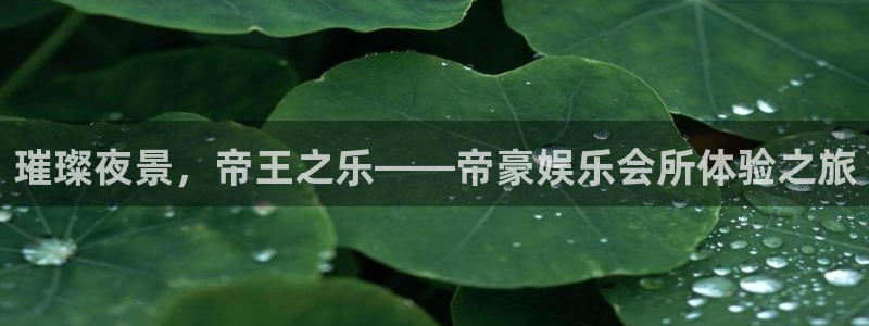 耀世娱乐登录地址：璀璨夜景，帝王之乐——帝豪娱乐会所体验之旅