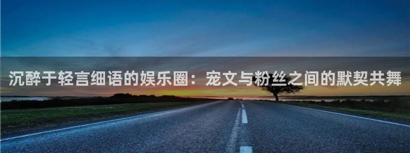 耀世娱乐登陆：沉醉于轻言细语的娱乐圈：宠文与粉丝之间的默契共舞