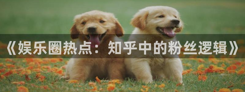 耀世娱乐登录：《娱乐圈热点：知乎中的粉丝逻辑》