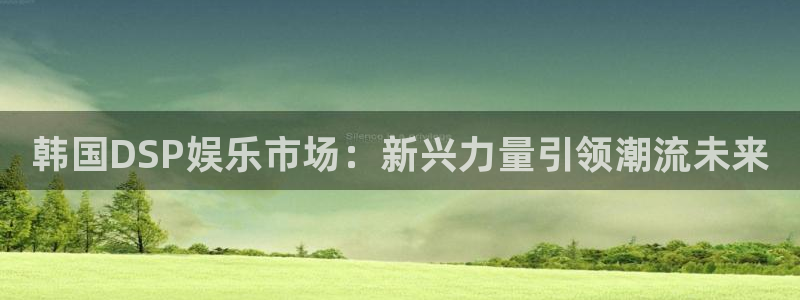 耀世娱乐入口：韩国DSP娱乐市场：新兴力量引领潮流未来