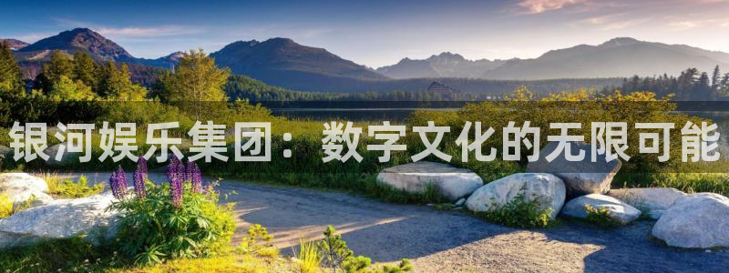 耀世娱乐注册：银河娱乐集团：数字文化的无限可能