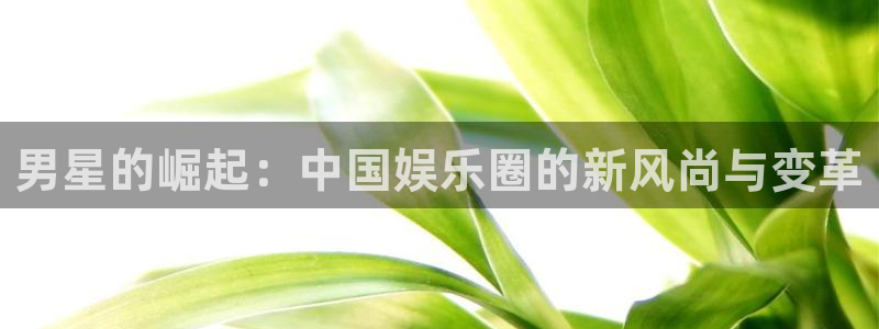 耀世娱乐：男星的崛起：中国娱乐圈的新风尚与变革